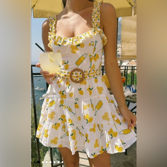 Show Me Your MuMu Limoncello embroidery Jolene mini dress - Picture 4 of 9